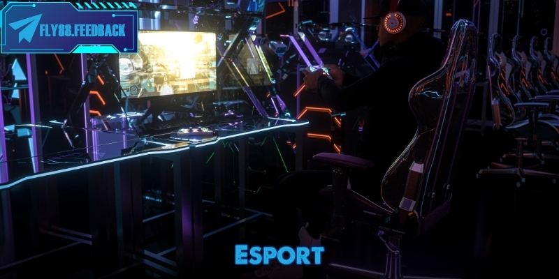 Esport - Chuyên mục cá cược thể thao điện tử dành cho người chơi hiện đại esport-ava