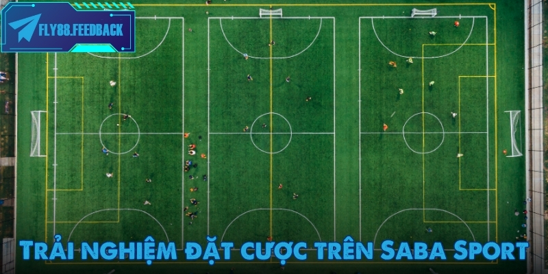 Trải nghiệm xem và đặt cược tại Saba Sport mượt mà trên mọi thiết bị