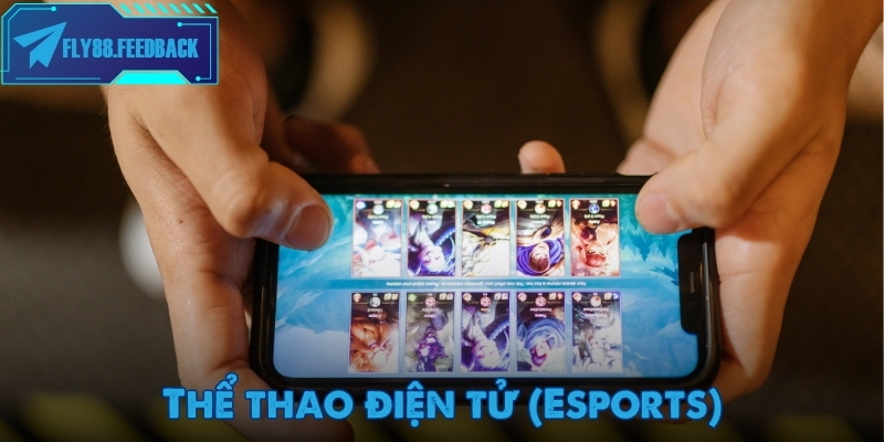 Tham gia thể thao điện tử (Esports) cùng Fly88