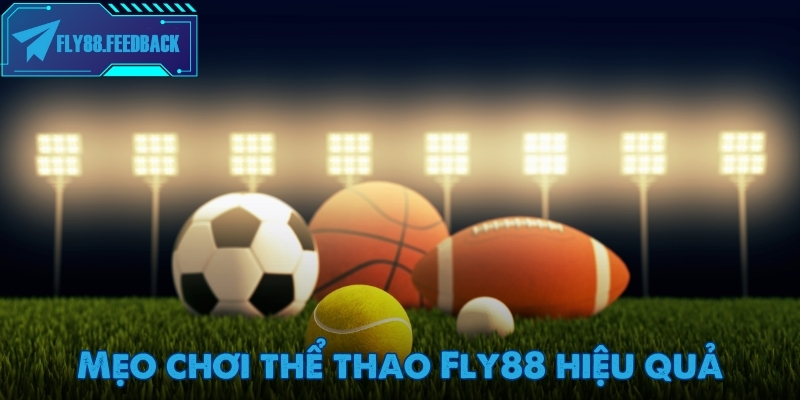 Mẹo chơi thể thao Fly88 hiệu quả cho tân binh cá cược